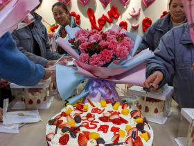 乐动注册乐动注册首页
举办三八妇女节活动